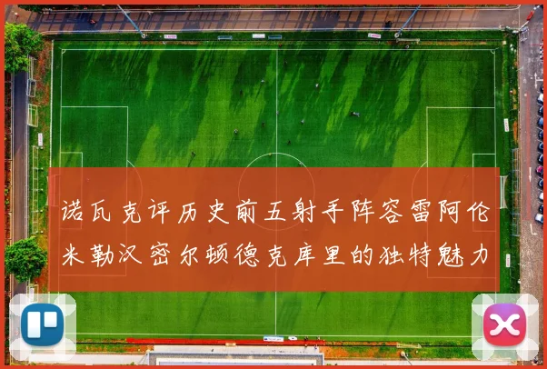 诺瓦克评历史前五射手阵容雷阿伦米勒汉密尔顿德克库里的独特魅力与影响