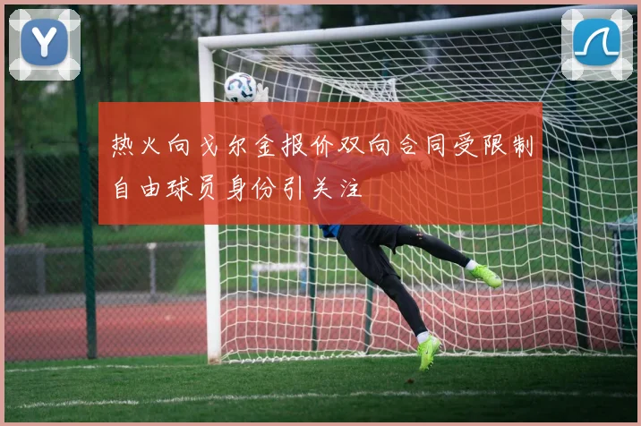 热火向戈尔金报价双向合同受限制自由球员身份引关注