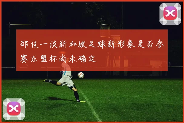 邵佳一谈新加坡足球新形象是否参赛东盟杯尚未确定