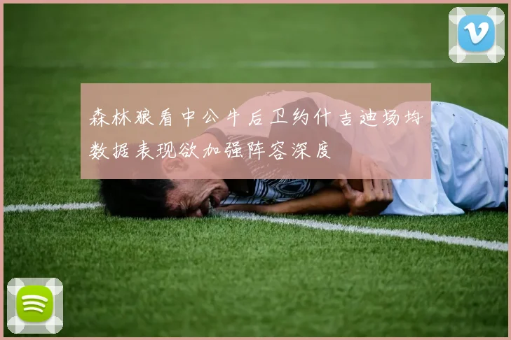 森林狼看中公牛后卫约什吉迪场均数据表现欲加强阵容深度